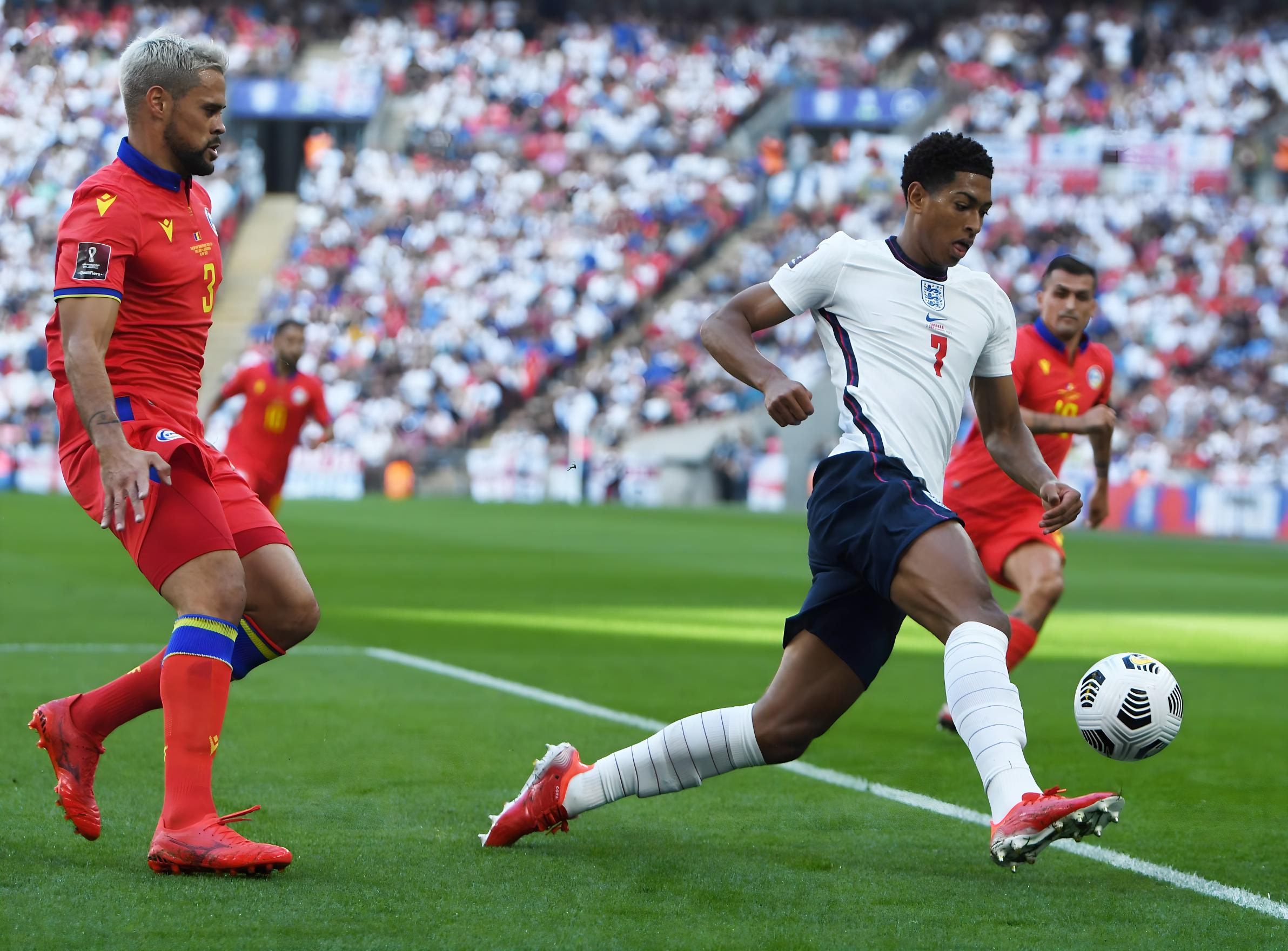 提供借鉴 提供借鉴