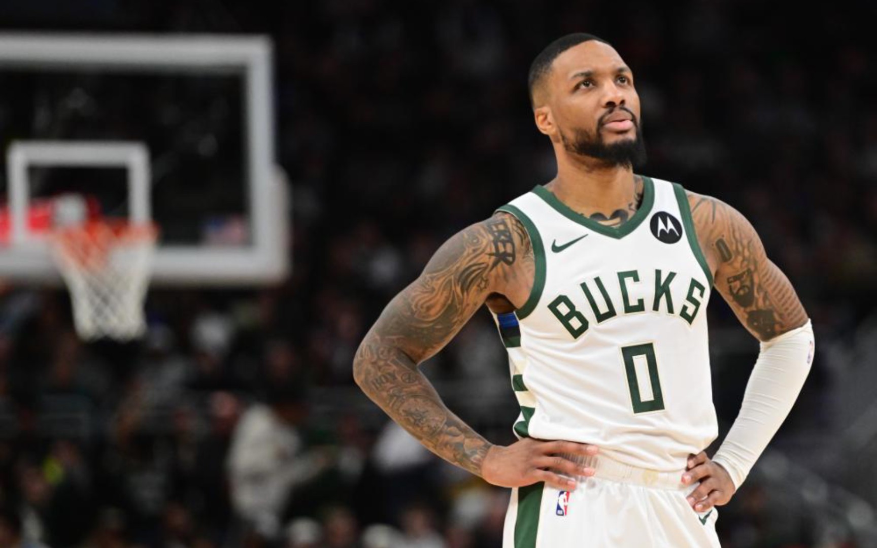 体进行协调 体进行协调