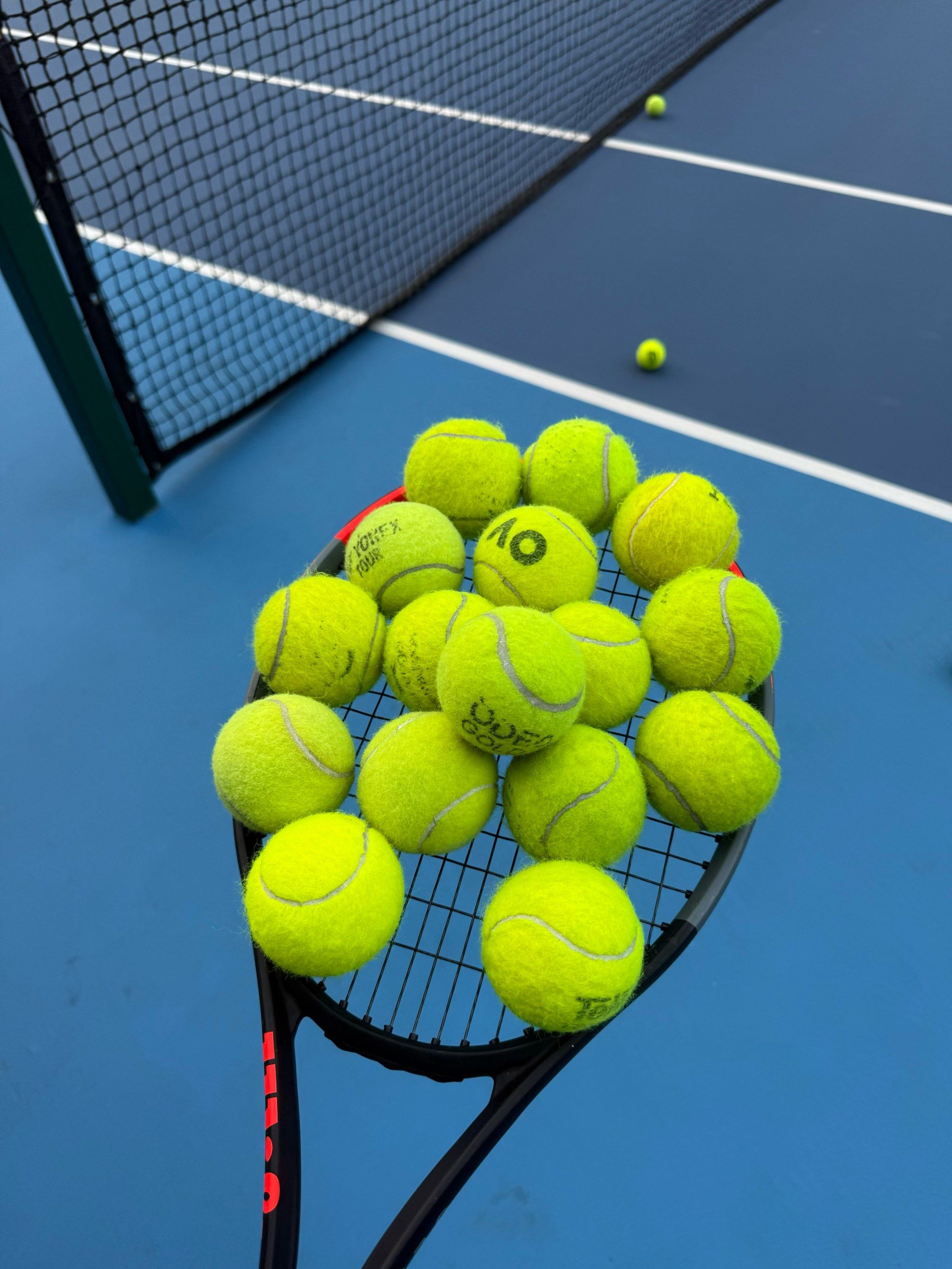 了极高的竞 了极高的竞