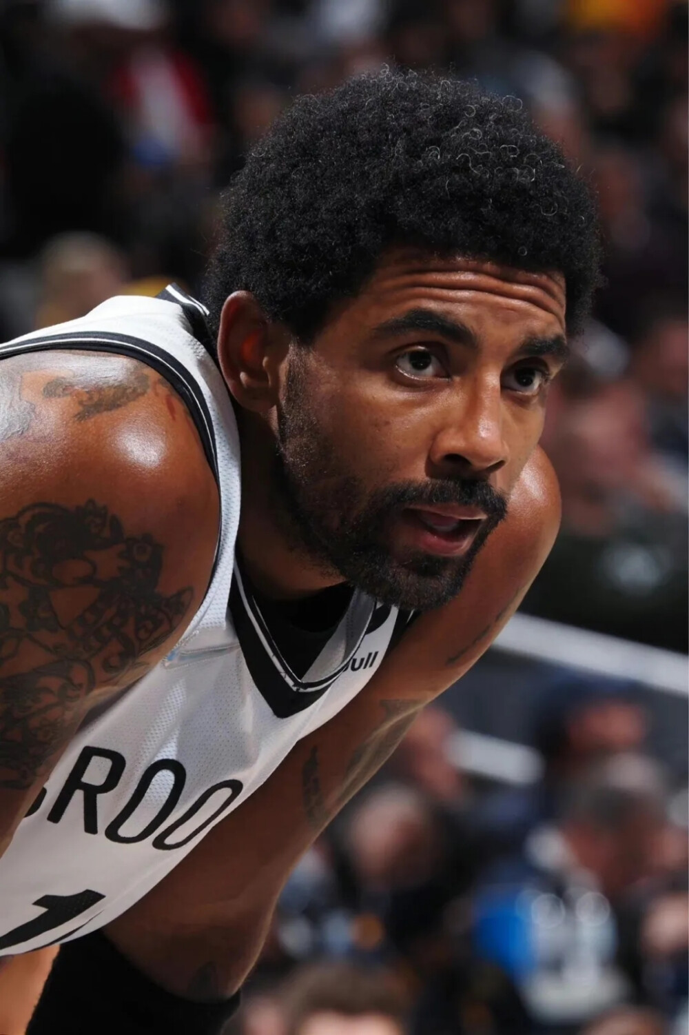 主甚至评论 主甚至评论